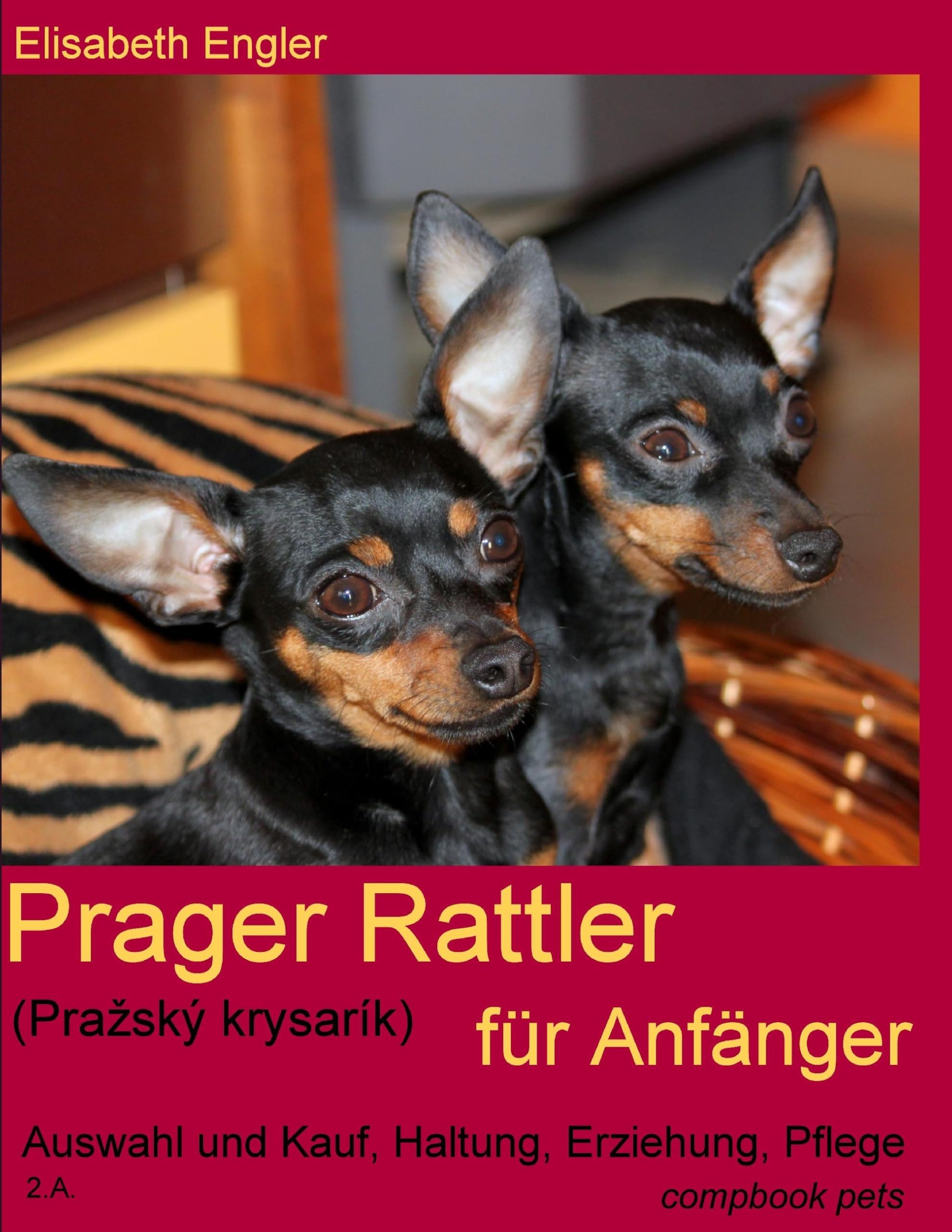 Prager Rattler (Pražský krysarík) für Anfänger: Auswahl und Kauf, Haltung, Erziehung, Pflege