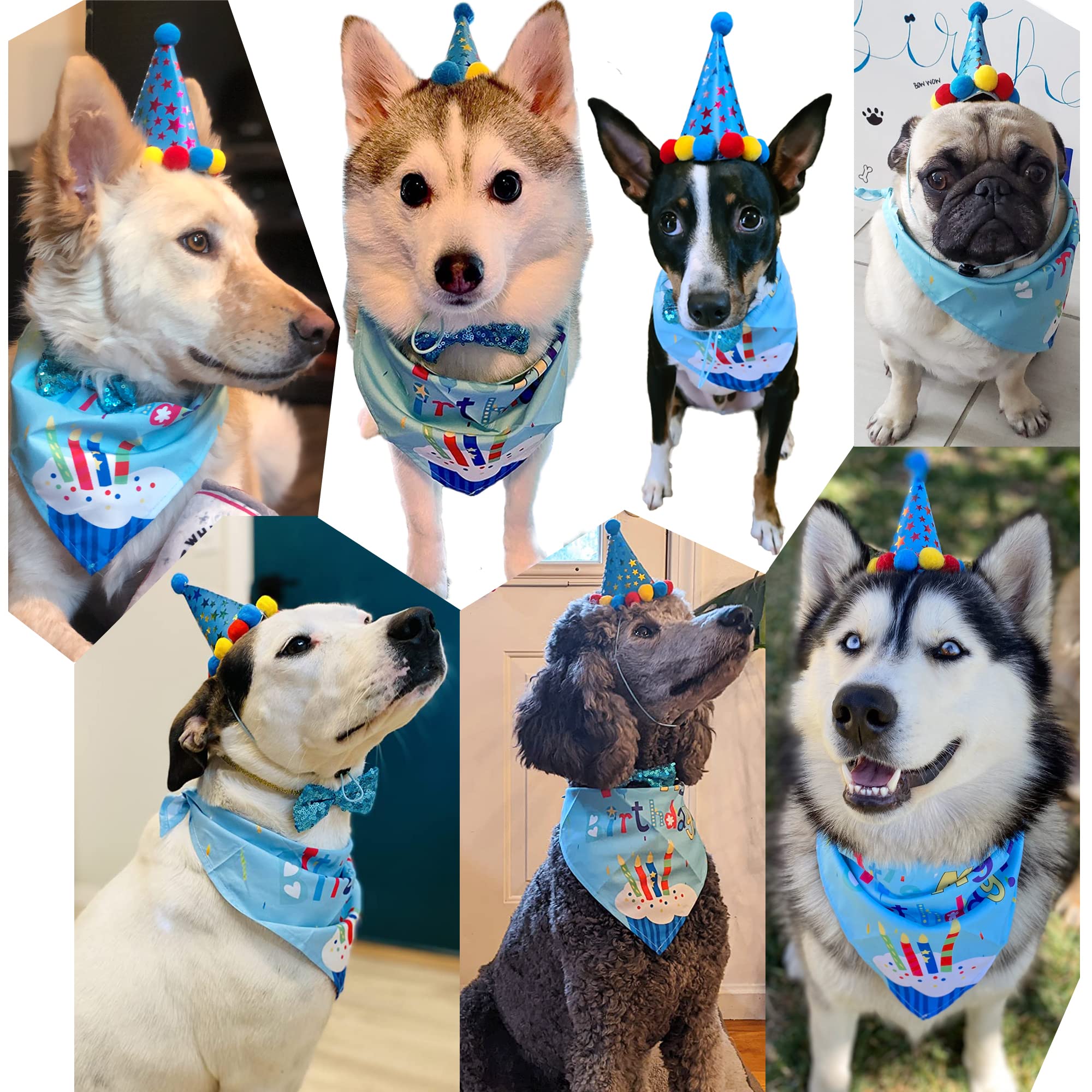 Hundegeburtstags-Set – Bandana, Partyhut & Quietschknochen Für Kleine, Mittlere & Große Hunde