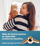 Ver la foto 7