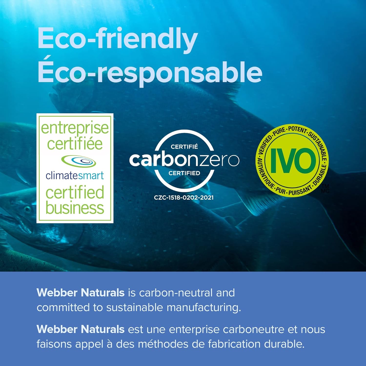 Buy ber Naturals Triple Strength Omega3 with CoQ10 enteric coated 900 mg Omega3 (EPA • DHA