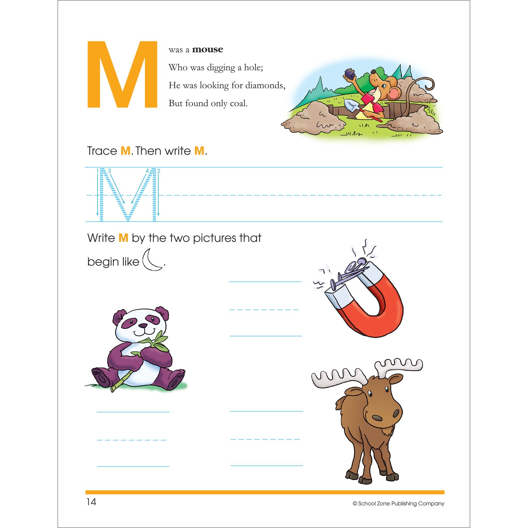 Flash Action Software Combo Kindergarten: Ages 5-6
