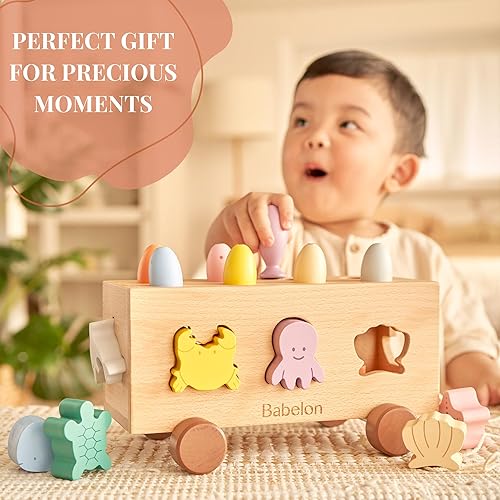 Miniatura 6 de Babelon Montessori - Juguetes clasificadores de formas de madera para niños pequeños, juego de pesca, juguete educativo y de aprendizaje preescolar,