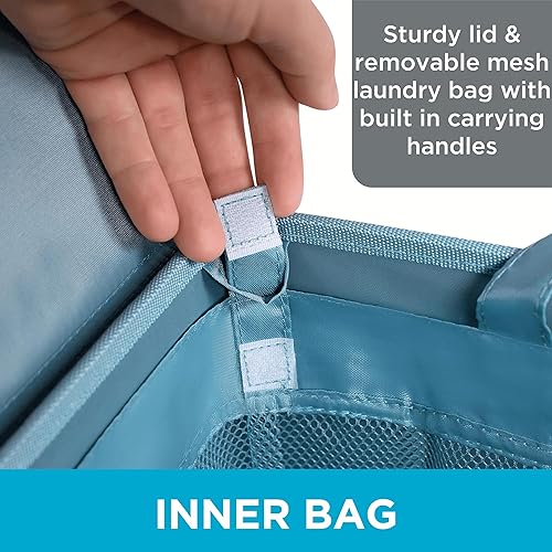 Vista 41 de BirdRock Home - Cesta para la ropa sucia, color rosa y azul, Doble, Marrón