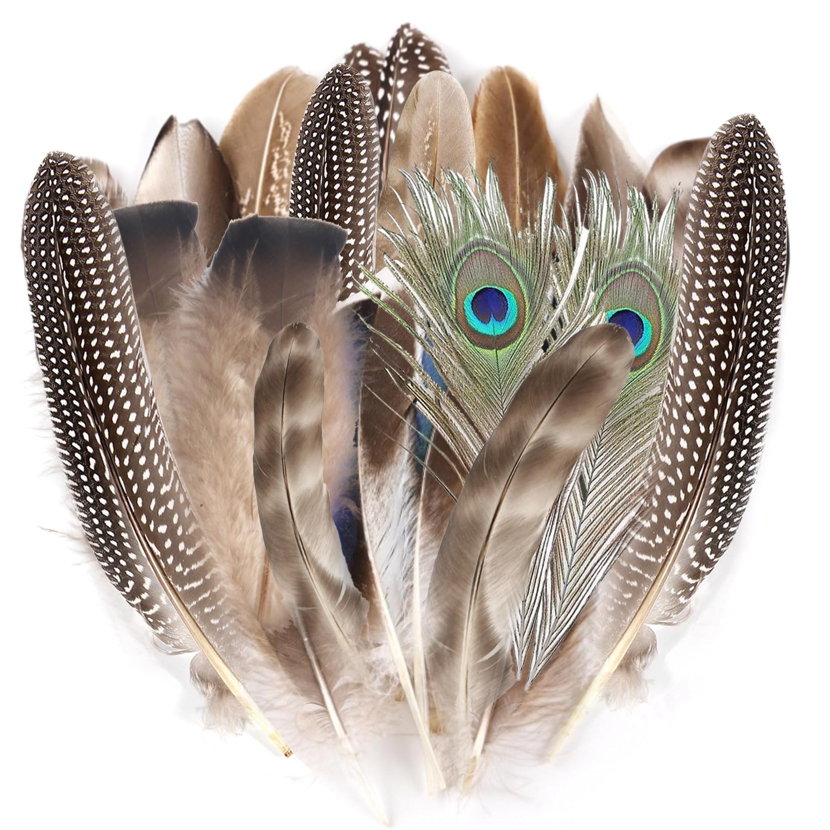 48 PcsPlumas Manualidades de Colores, Plumas Decorativas de Faisán Naturales, Plumas de Colores Manualidades para proyectos DIY, atrapasueños, sombreros, máscaras, decoraciones para fiestas