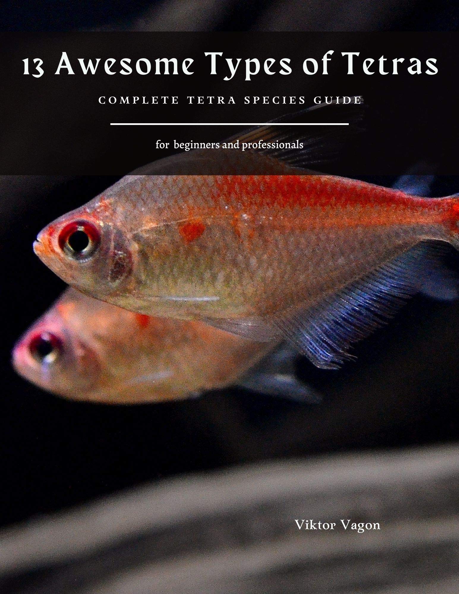 Buy 13 Awesome Types of Tetras Complete Tetra Species Guide Online at