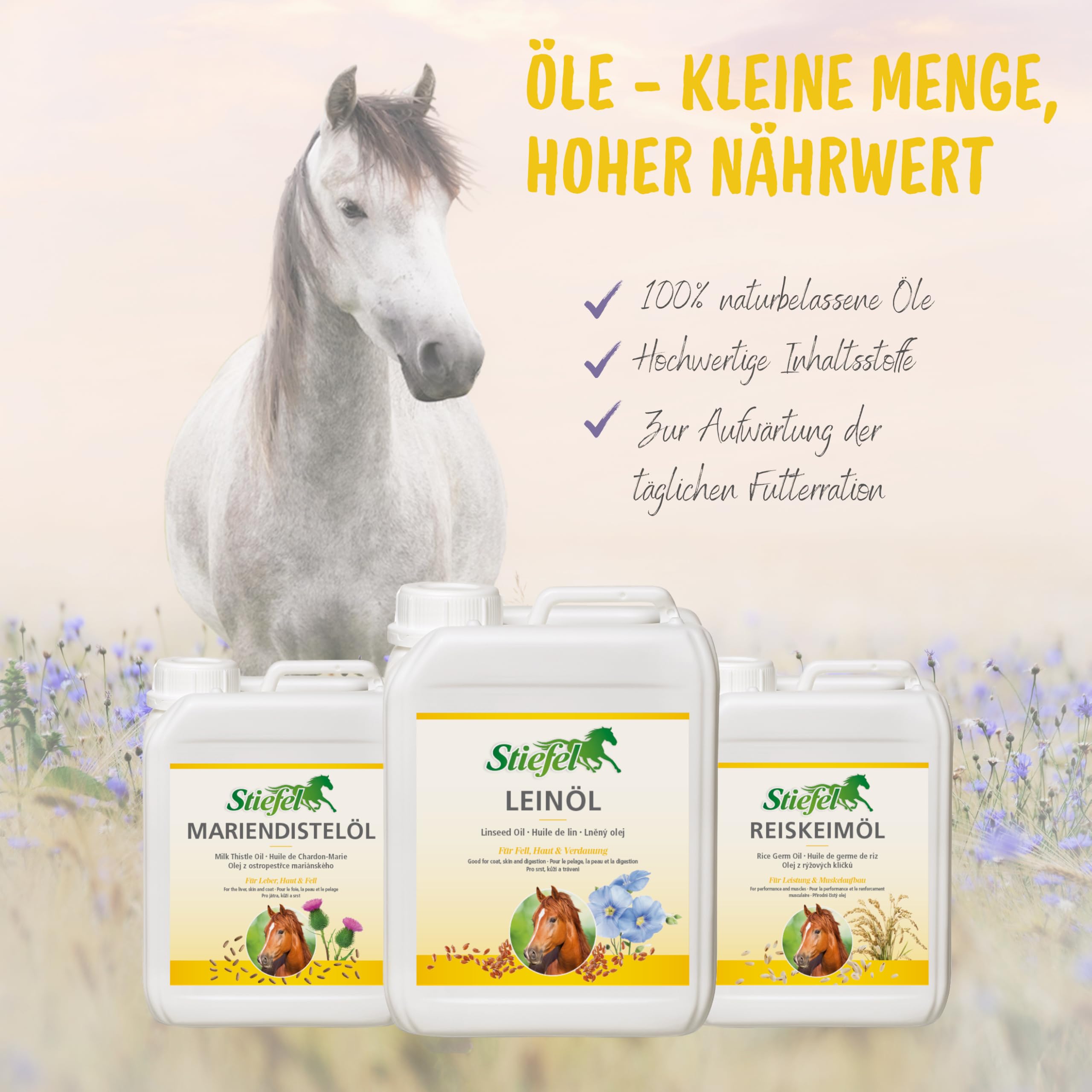 Stiefel Linseed Oil 5 l