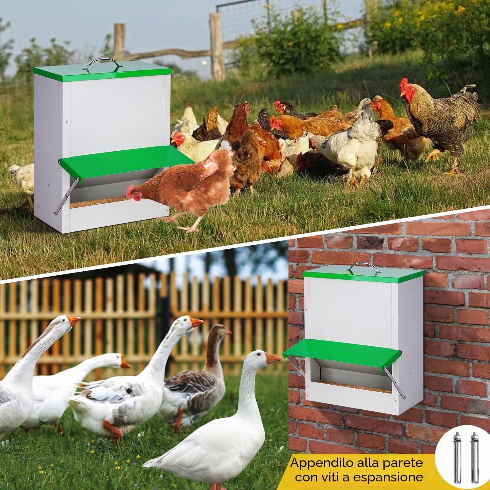 Mangiatoia per Polli, Mangiatoia Automatica per Pollame All'Aperto, Mangiatoia per Anatre da 11 Kg con Coperchio, Mangiatoia per Pollame Senza Rifiuti, Impermeabile per Polli, Anatre e Tacchini