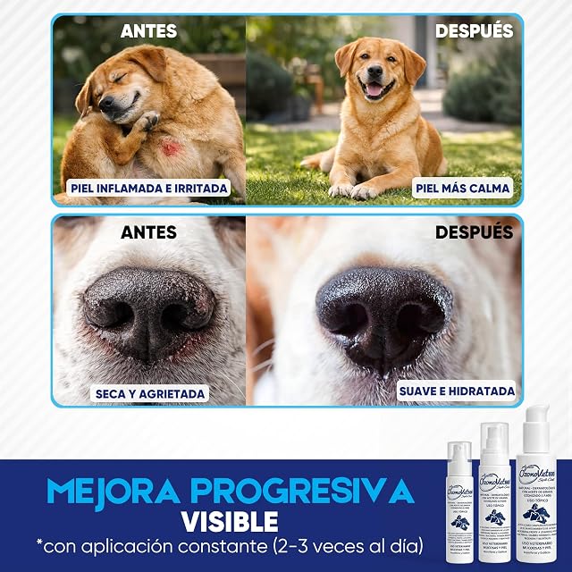 Foto 3 de 7 de OZONOVET Septi-Cicat Spray de Aceite Ozonizado para Perros y Gatos