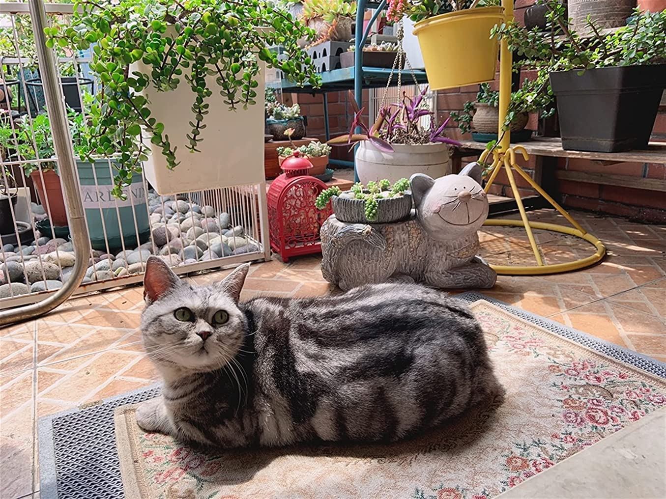 Rzeźba ogrodowa, urocza doniczka w kształcie kota, ozdoba, ogród, kociak, statuetka, dekoracja, na zewnątrz, sukulent, na balkon, taras