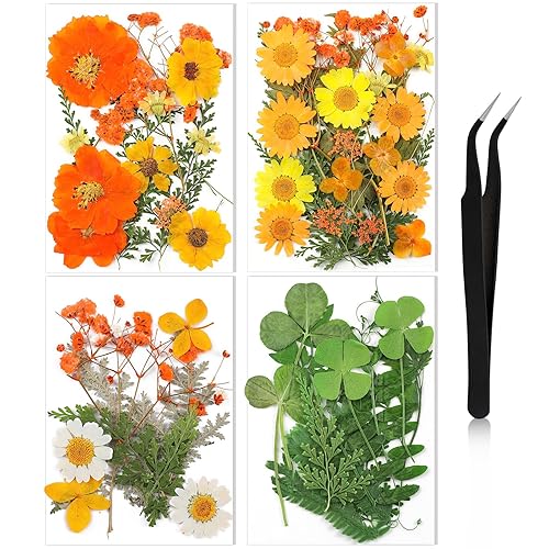 Nuanchu Dried Flower for Crafts Resin Pressed Flowers Bulk Real
