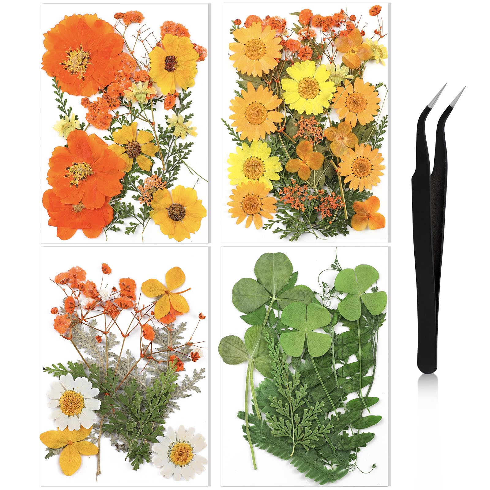 Nuanchu Dried Flower for Crafts Resin Pressed Flowers Bulk Real Dried Wildflowers Leave Natural with Tweezer for Resin Mold Scrapbooking Nail Soap Candle Cake Card Making DIY Christmas Craft Supplies