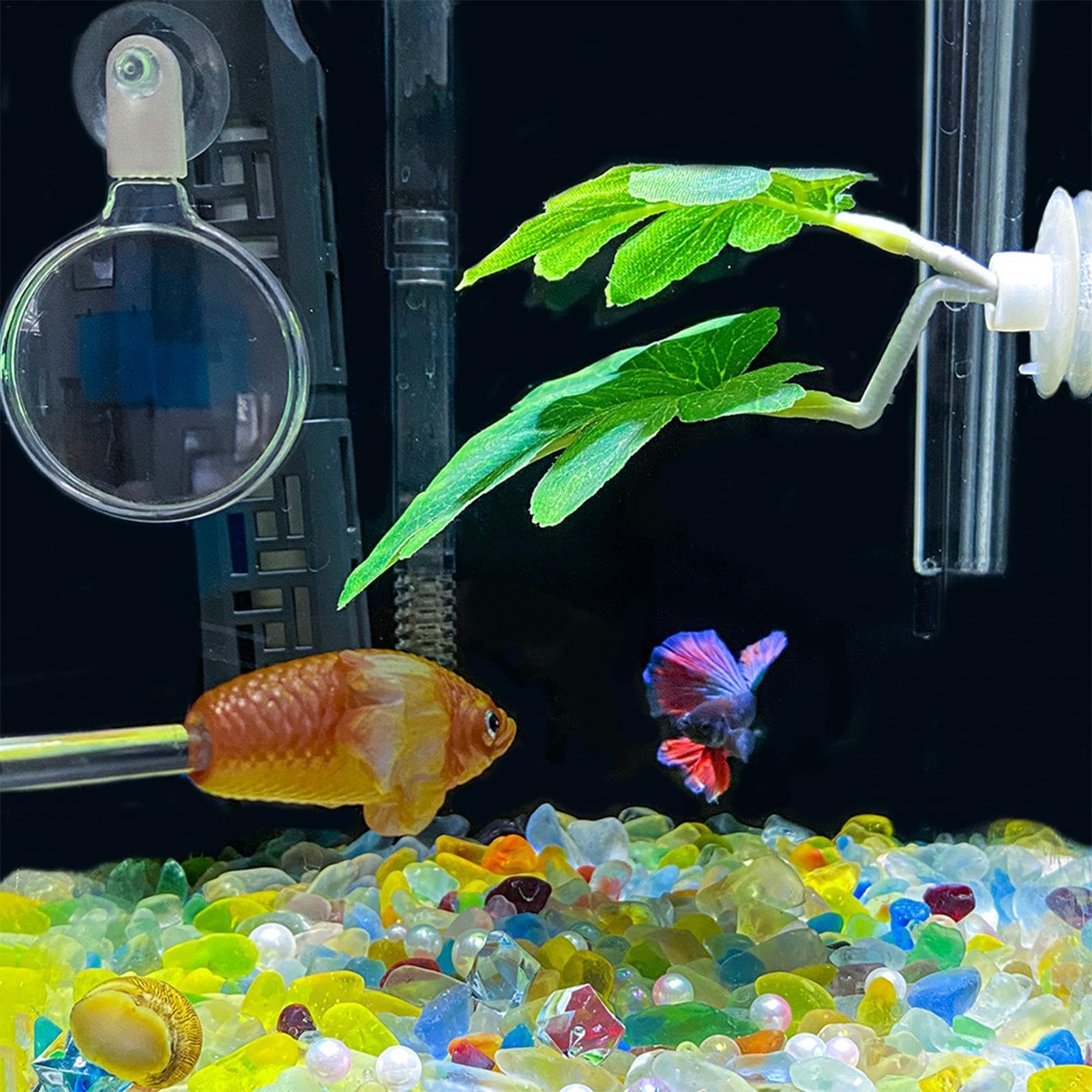 Amazon.co.jp: 魚トレーニングスティック | 水槽トレーニングツール