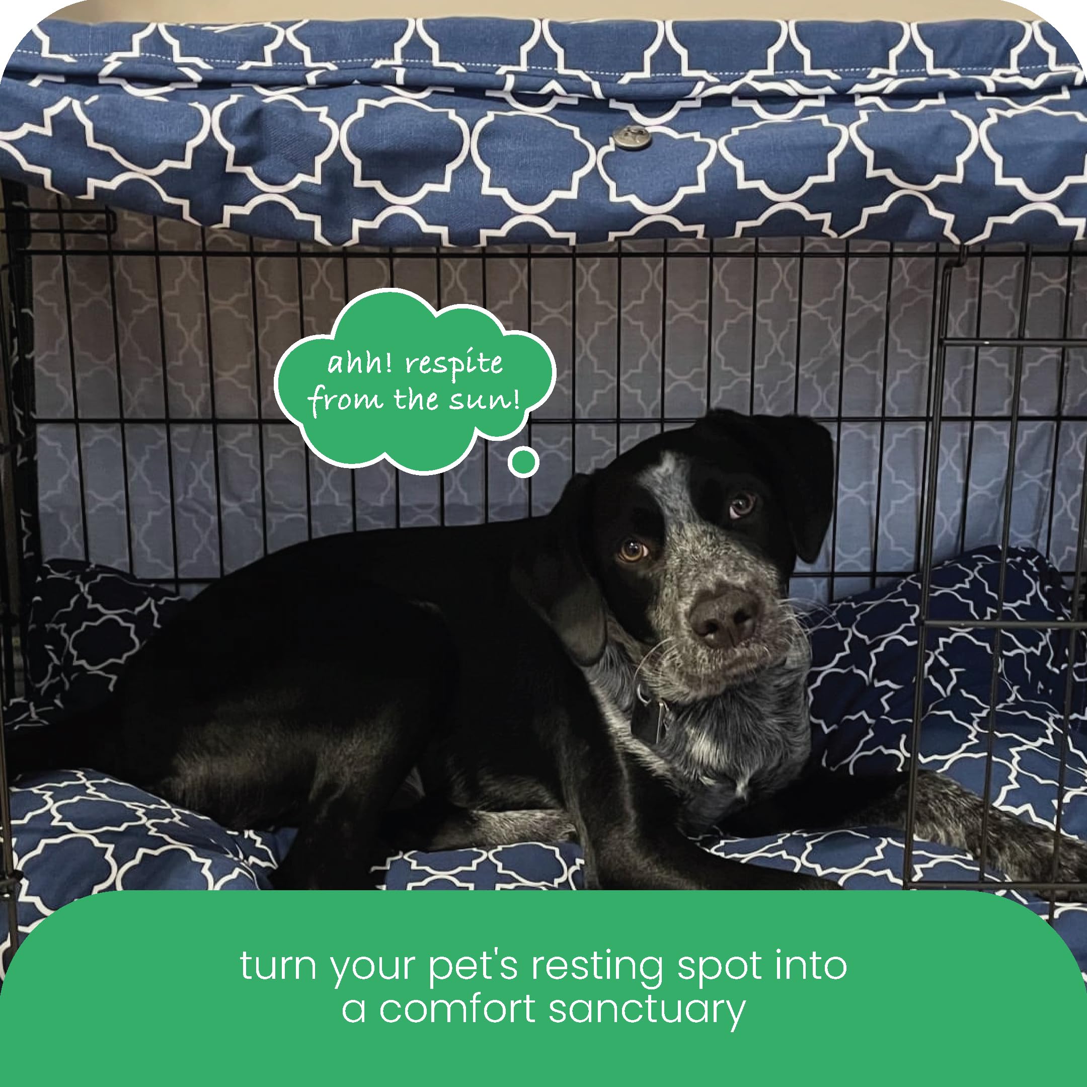 Molly Mutt Box Cover