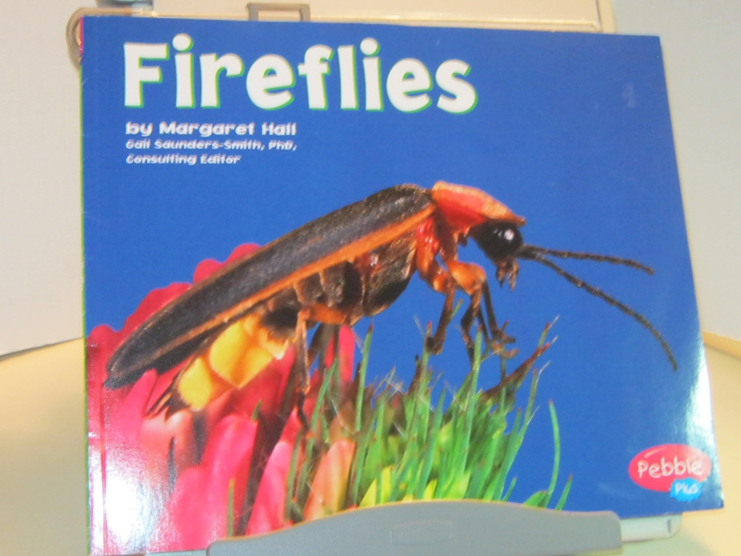 Fireflies Paperback – January 1, 2006