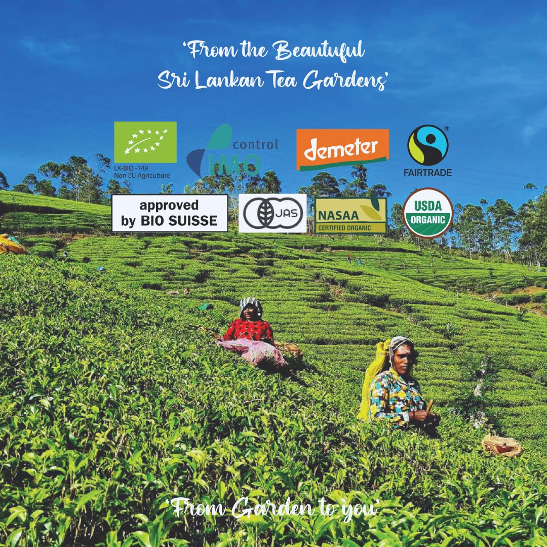 The Infinity Box Ceylon Raspberry Tea | 25 Tea Bags (1.5g Each) | Imported from Sri Lanka | Naturally Caffeine-Free, Fruity & Aromatic | Rich in Antioxidants | Enjoy Hot or Iced - Image 9 thumbnail