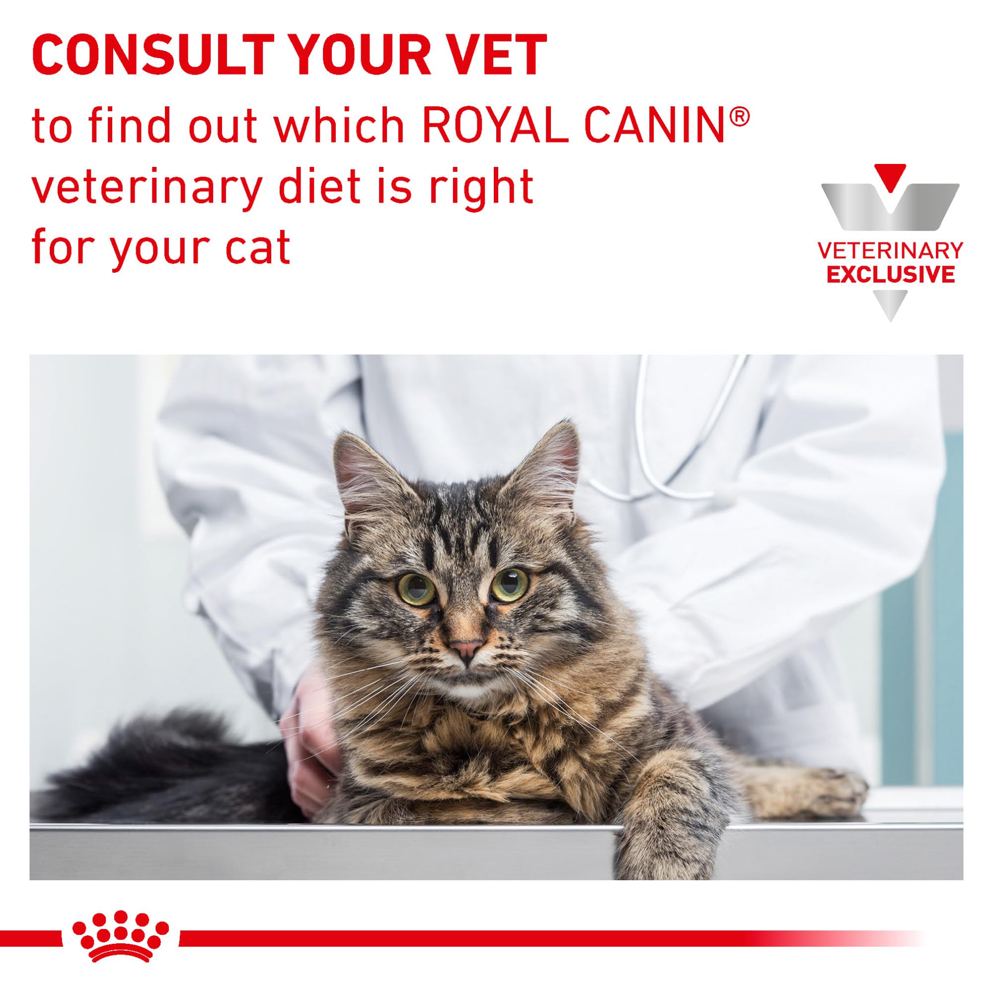 Royal Canin Expert Calm | 4 kg | Alimento completo per gatti adulti | Possibile effetto rilassante | Proteina del latte idrolizzata e L-triptofano