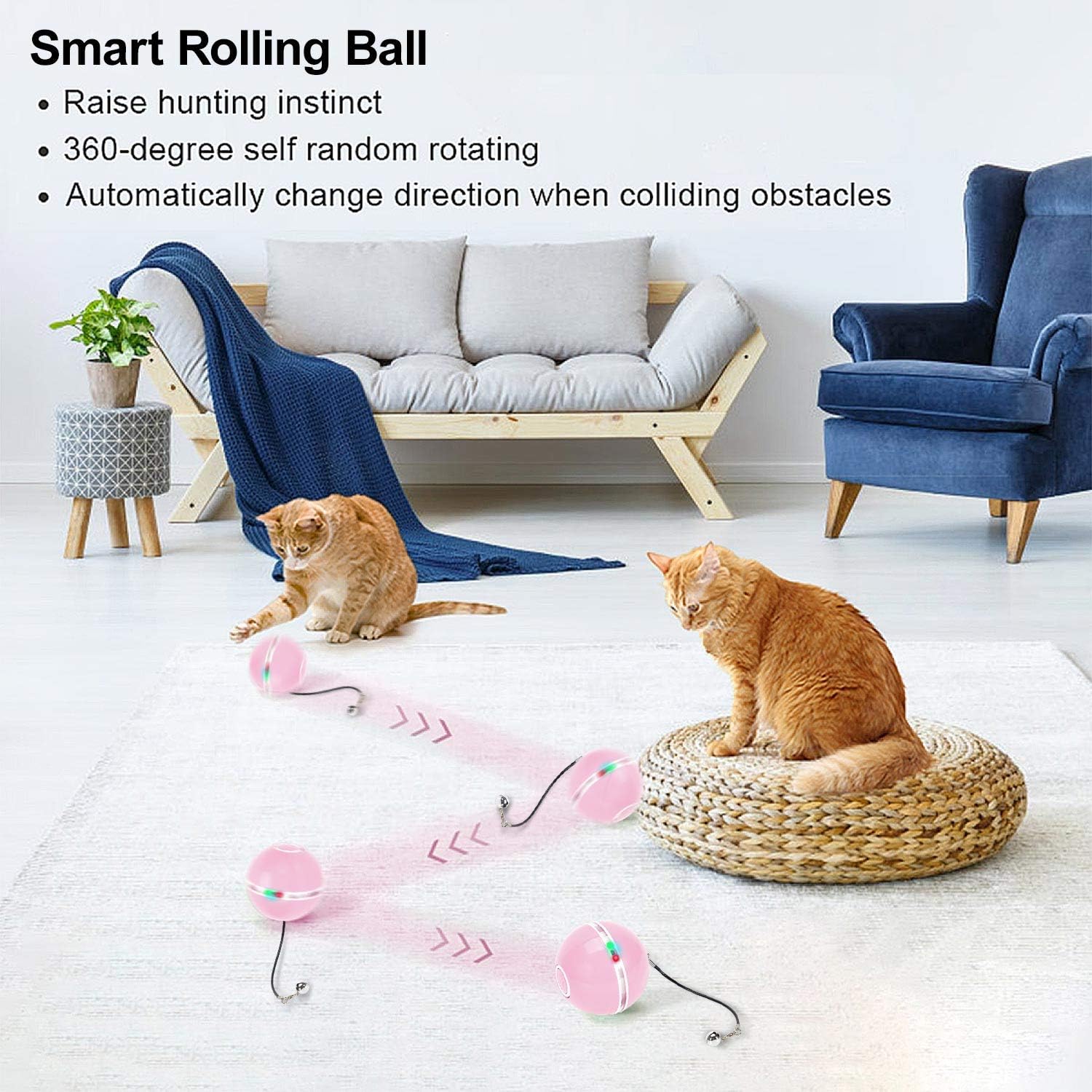 WWVVPET Interactive Cat Toys Ball with LED Light & Catnip, Upgraded Ring Bell Feather Pet Toy,Auto Spinning Smart Cat Ball Toy,USB Rechargeable Stimulate Hunting Instinct Kitty Funny Chaser Roller 4 81ryr0YBeWL. AC SL1500