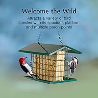 Vista 2 de C&S CS750 EZ Fill Comedero de bocadillos de lujo TM/sebo, Verde