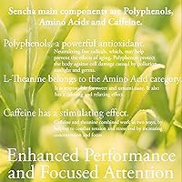 Vista 5 de Bolsas de té verde Sencha orgánicas 100 bolsas de té Sencha - USDA Organic Té verde japonés de primera cosecha por Pantenger.