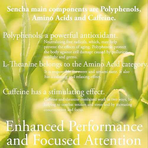 Miniatura 5 de Bolsas de té verde Sencha orgánicas  100 bolsas de té Sencha - USDA Organic  Té verde japonés de primera cosecha  por Pantenger.