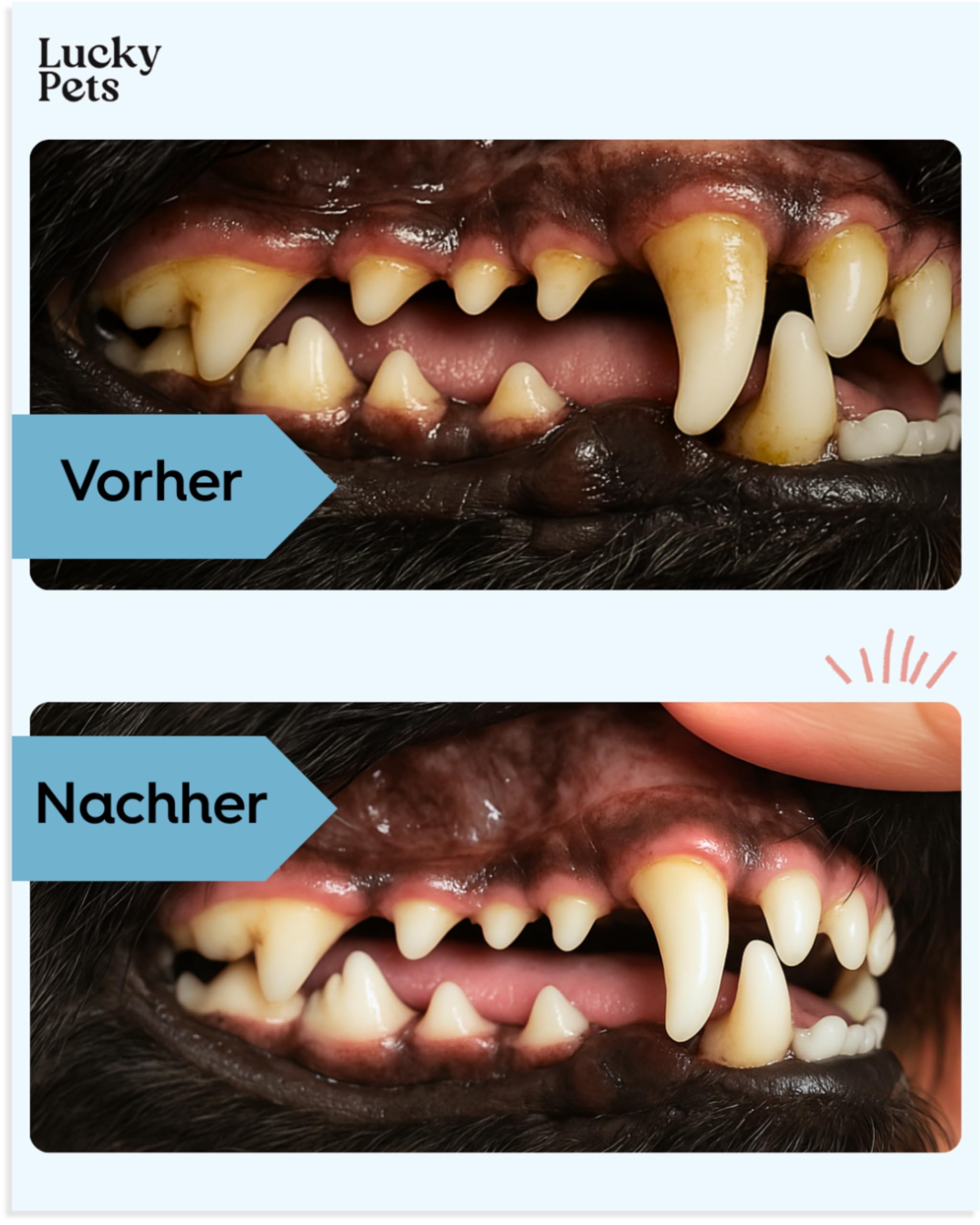 Zahnpflege Pulver für Hunde 250 g – Hunde Zahnsteinentferner und Mundgeruch-Stopper – 100% natürliche Zahnreinigung ohne Zahnbürste – Made in Germany – Zahnpflege Hund