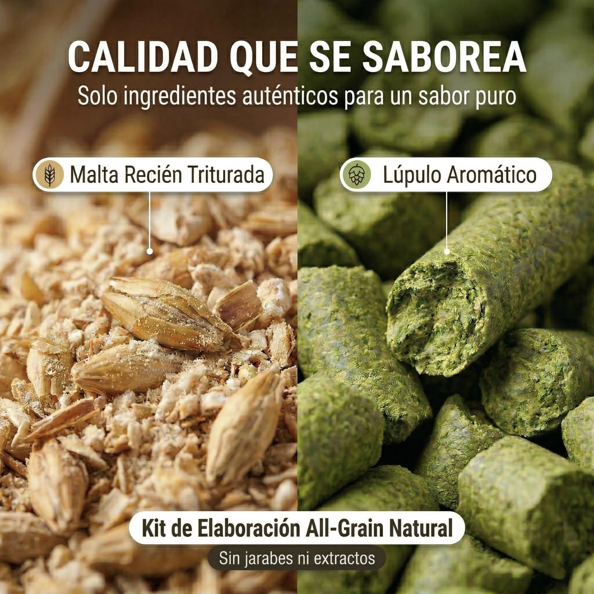Brew Monkey Kit Elaboración Cerveza Rubia 5 Litros 6.4% Vol