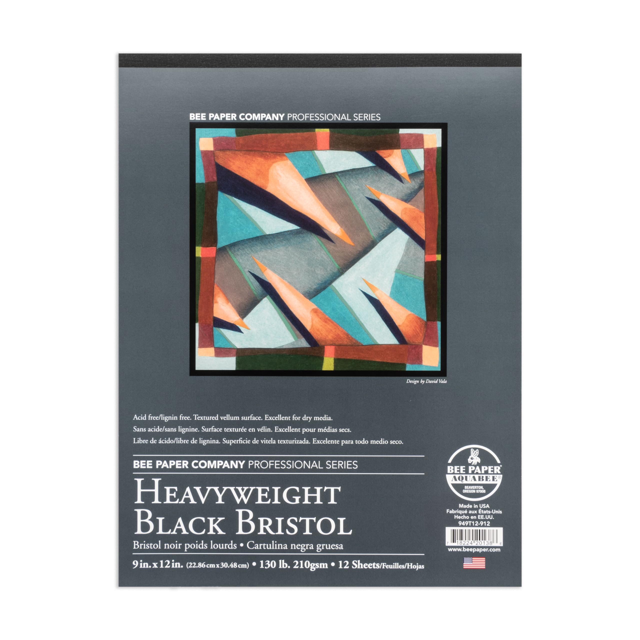 Bee Paper - 9"x 12" Heavyweight Black Bristol Paper Pad, 12 Sheets