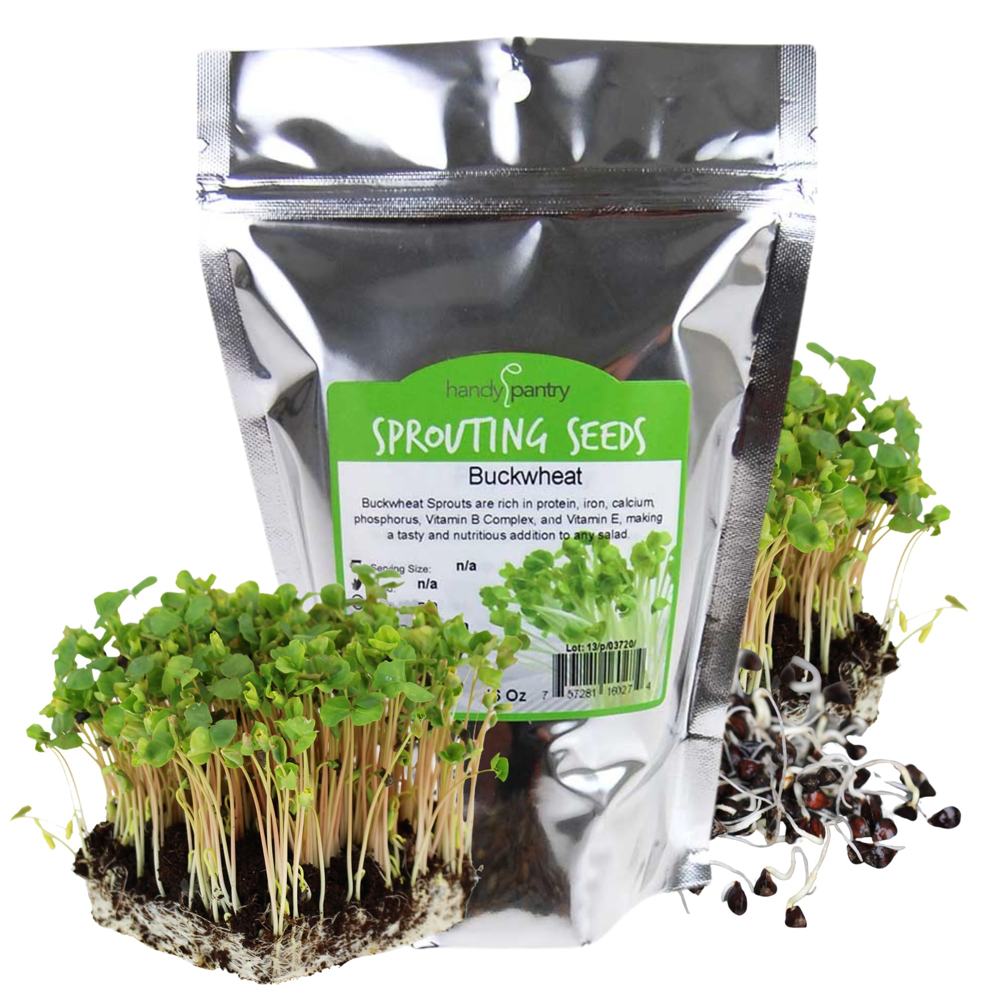 Bulk Organic Buckwheat Sprouting & Microgreens Seeds – 1 LB – Unhulled, Non-GMO – High-Germination Seeds for Fresh Sprouts, Nutritious Micro Greens, Hydroponic Growing, and Indoor GardeningUSDA Organic