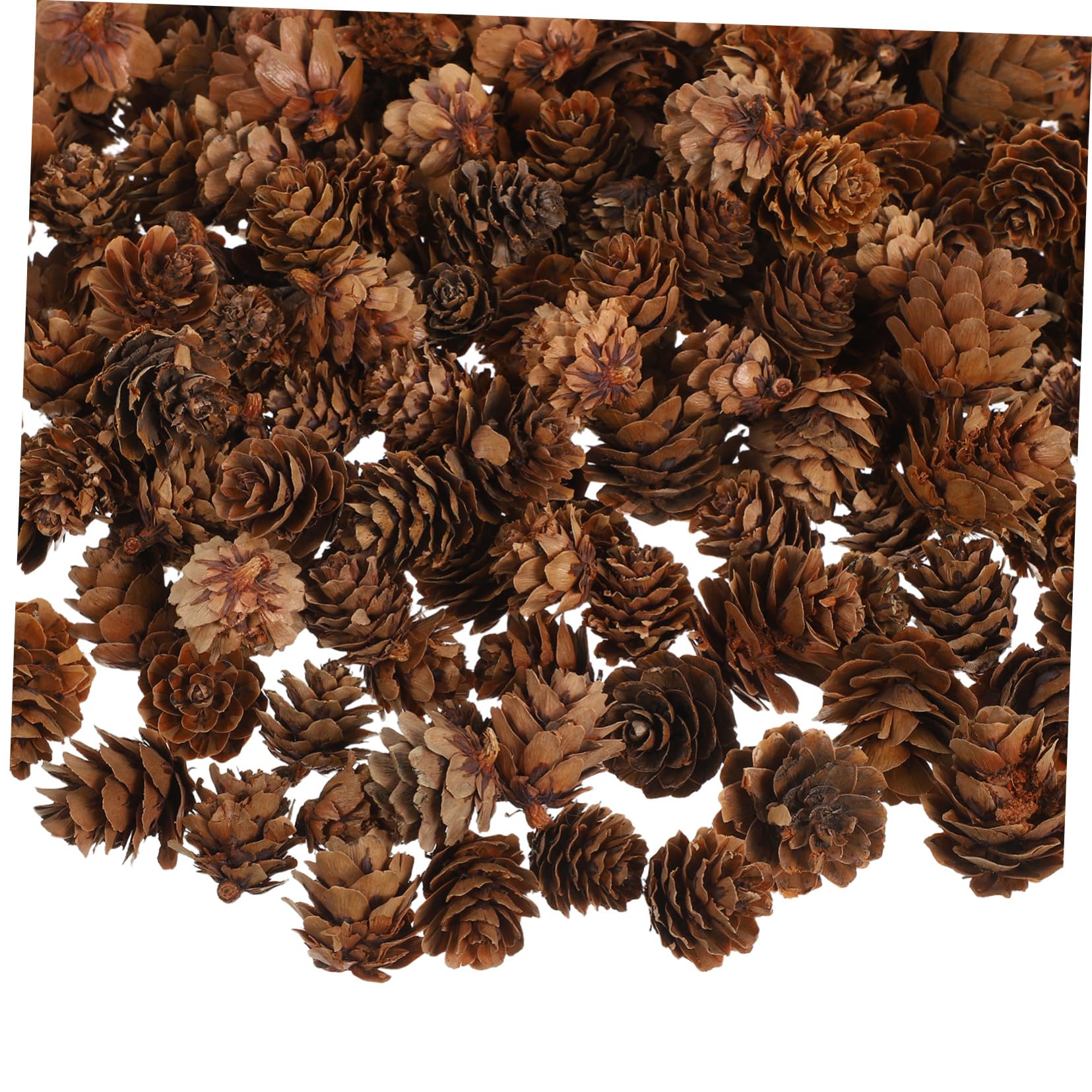 Tannenzapfen-Ornamente Für Weihnachten Herbstdeko Und Bastelarbeiten Natürliche Mini-kiefernzapfen Als Vasenfüller Oder Tischdekoration Für DIY-anwendungen Und Saisonale Verschöner