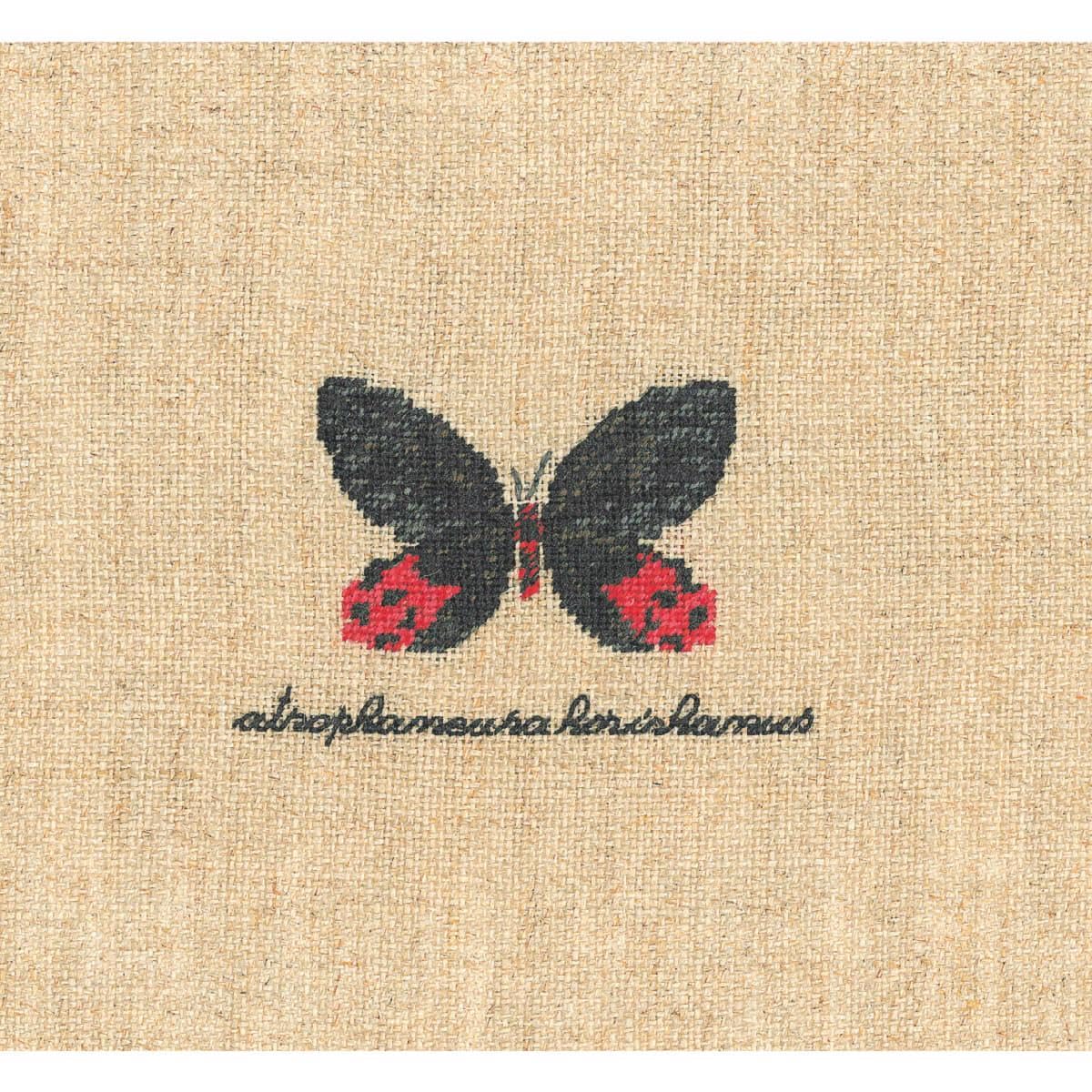 Le Bonheur des Dames Petit Point Embroidery Kit