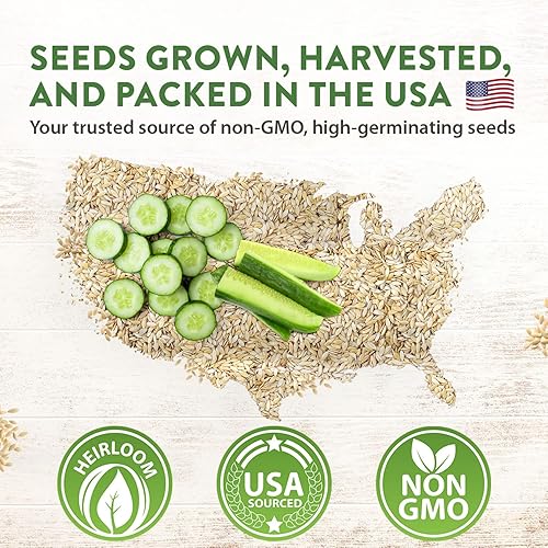 Miniatura 3 de HOME GROWN 8 semillas de pepino para plantar, limón, encurtido nacional, armenio, beit alfa, ocho semillas de pepino rectas, semillas de vegetales