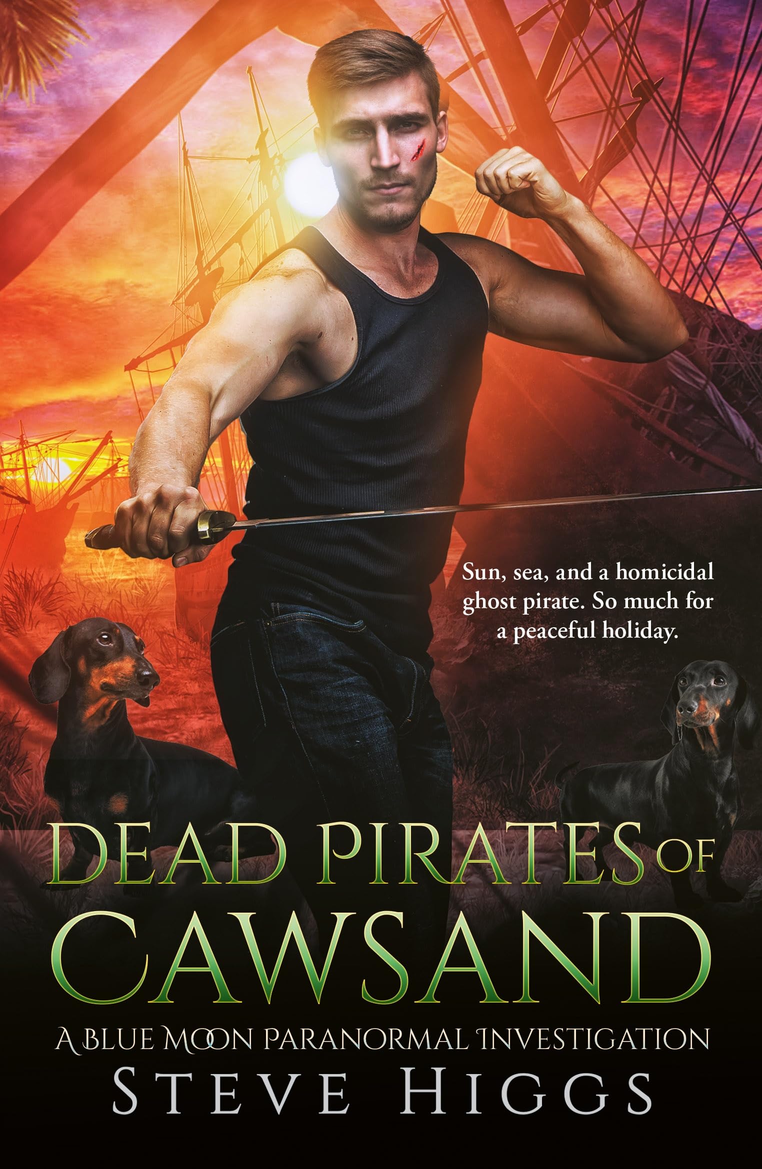 Dead Pirates of Cawsand: 5 (Blue Moon Investigations).by Higgs, Higgs, New**