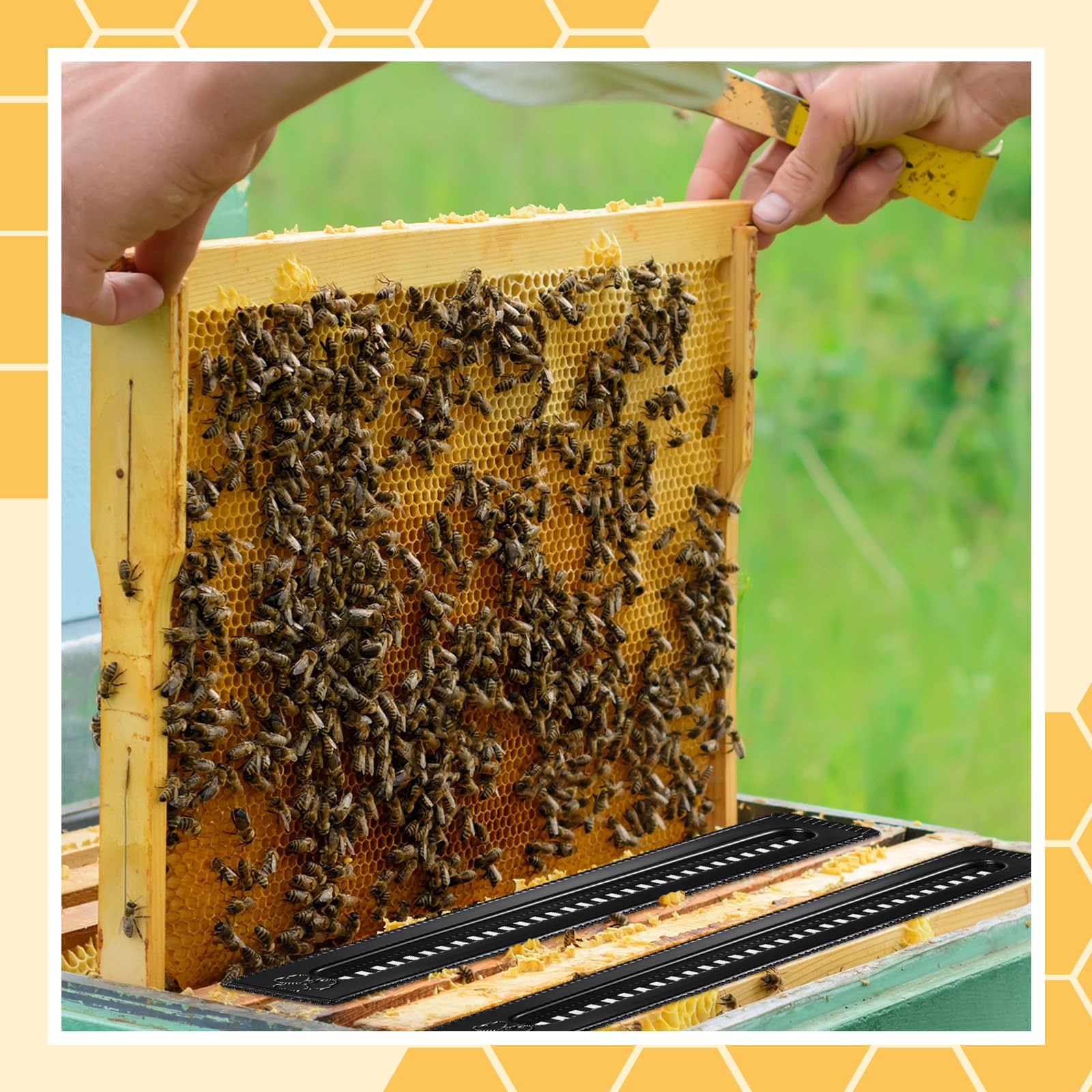 Qualirey Lot de 50 petits pièges à coléoptère en plastique pour ruches, outils d'apiculture, fournitures d'apiculture, contrôle des coléoptères