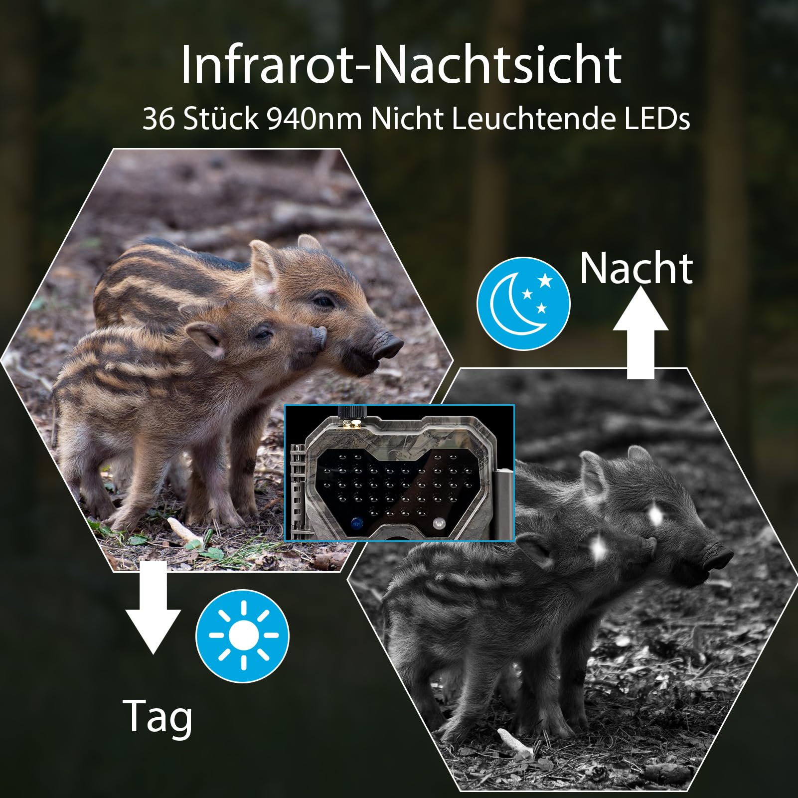 Meidase P300 Wildkamera, WiFi Bluetooth 50m Verbindungsreichweite, Dual Antenne, 64mp 1296p, Nachtsehen, Bewegungsaktivierung, Ip66 Wasserdicht, App Übertragung, Außenüberwachung