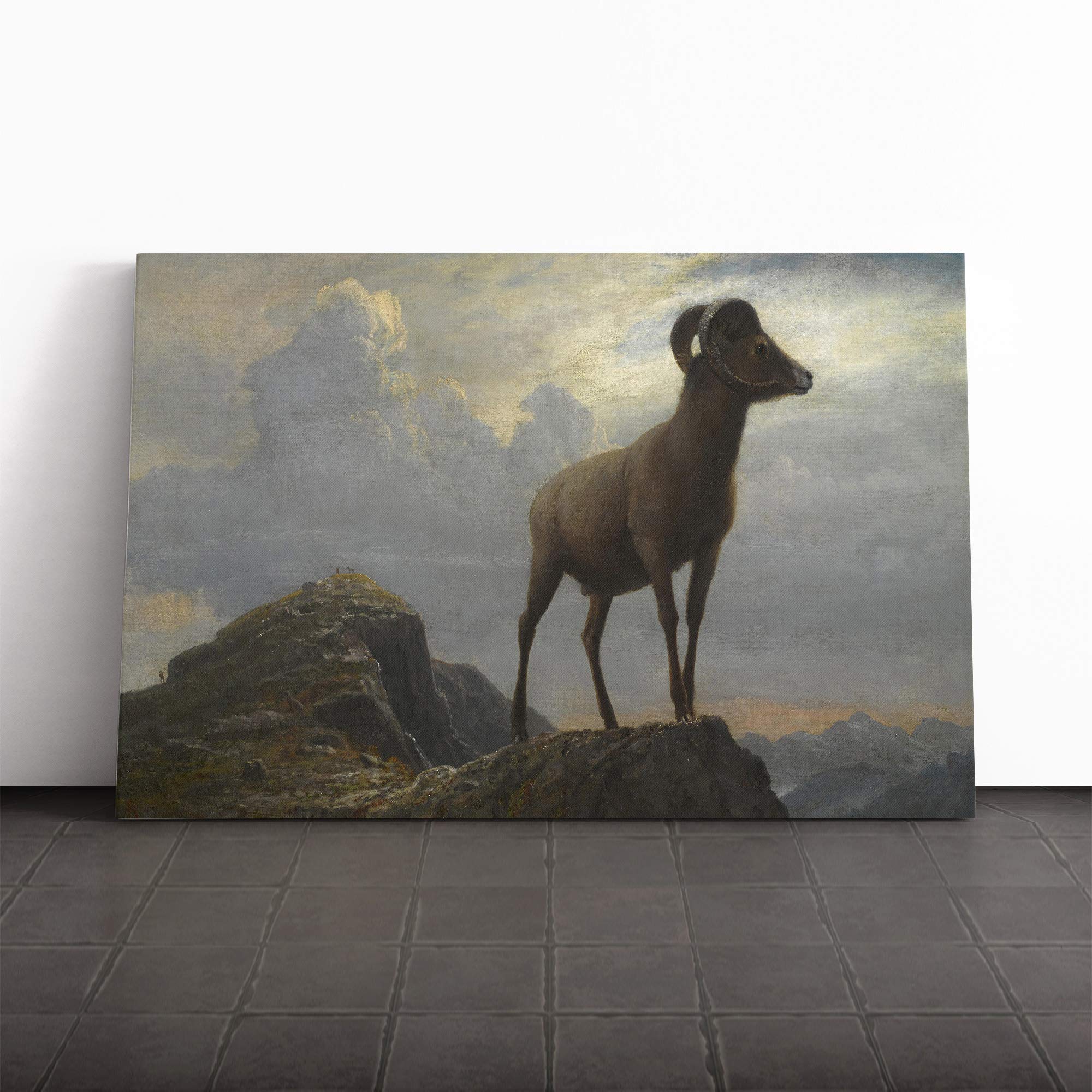 Albert Bierstadt Study of a Bighorn Ram Canvas Print | Gallery Wrapped 30mm Frame Wall Art | 20x14 inches | Ready to Hang | Modern Picture | Living Room Bedroom Lounge Office