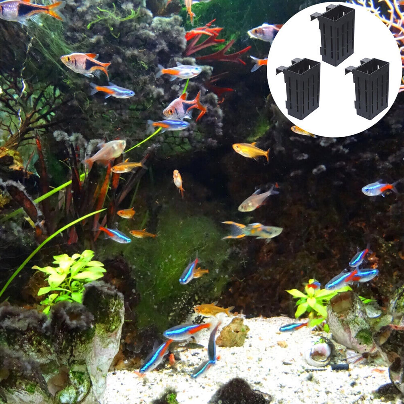 Supporto per piante per acquario, con ganci e ventose, per