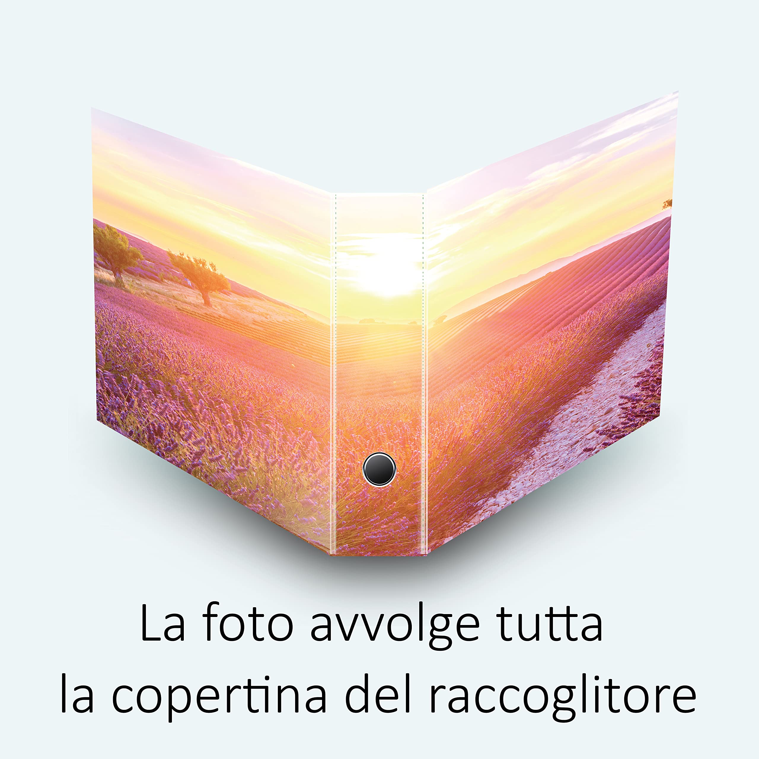 Set da 6 raccoglitori ad anelli - LAVANDA al TRAMONTO (H31 cm con 4 anelli)