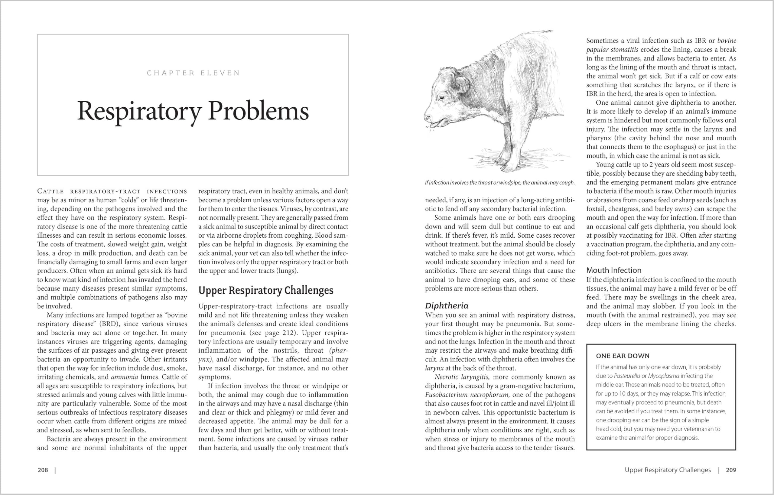 The Cattle Health Handbook: Preventive Care, Disease Treatments & Emergency Procedures for Promoting the Well-Being of Your Beef or Dairy Herd