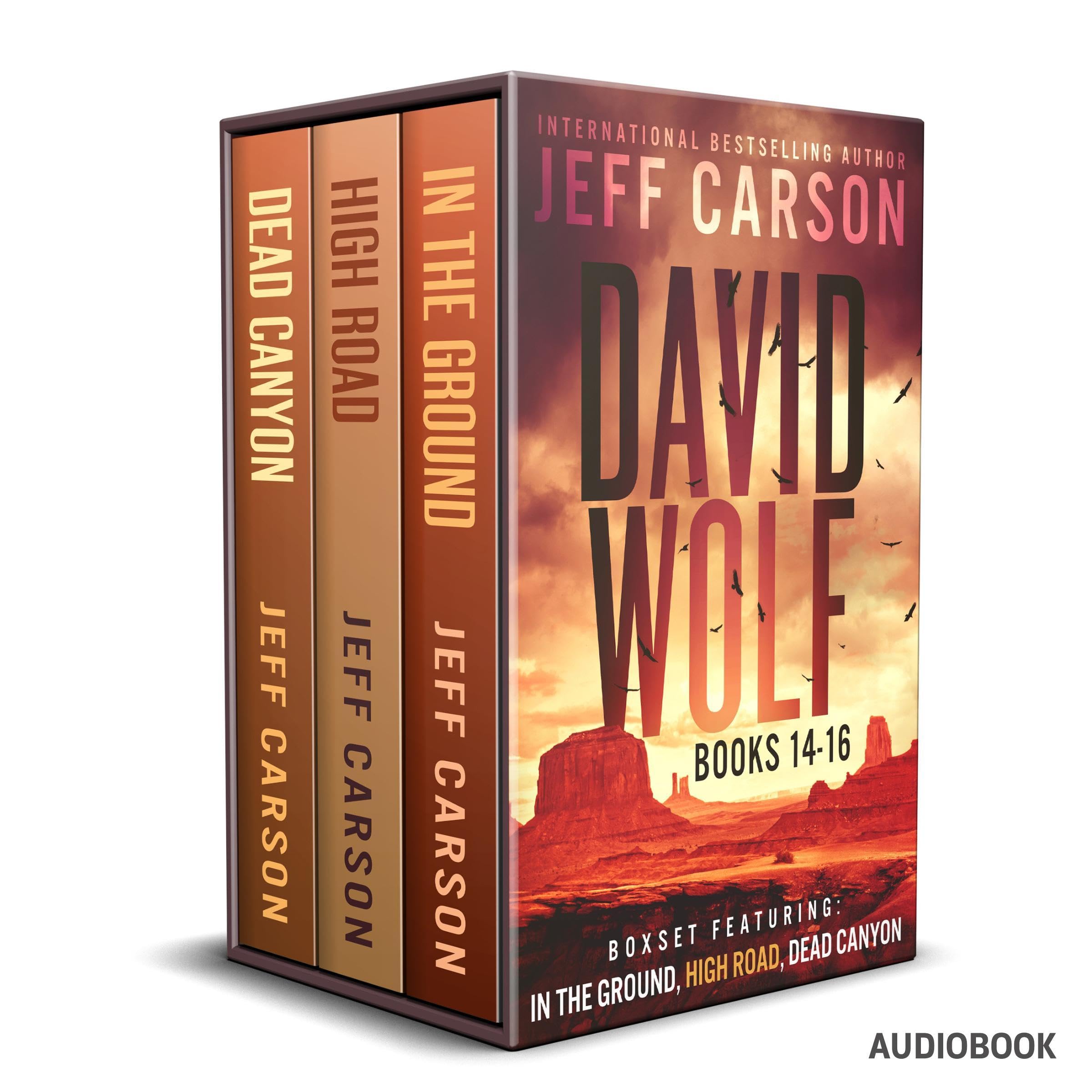 The David Wolf Mystery Thriller Series: Books 14-16