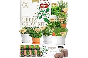 HOME GROWN Deluxe 8 Herb Garden Starter Kit Outdoor – Best Unique...