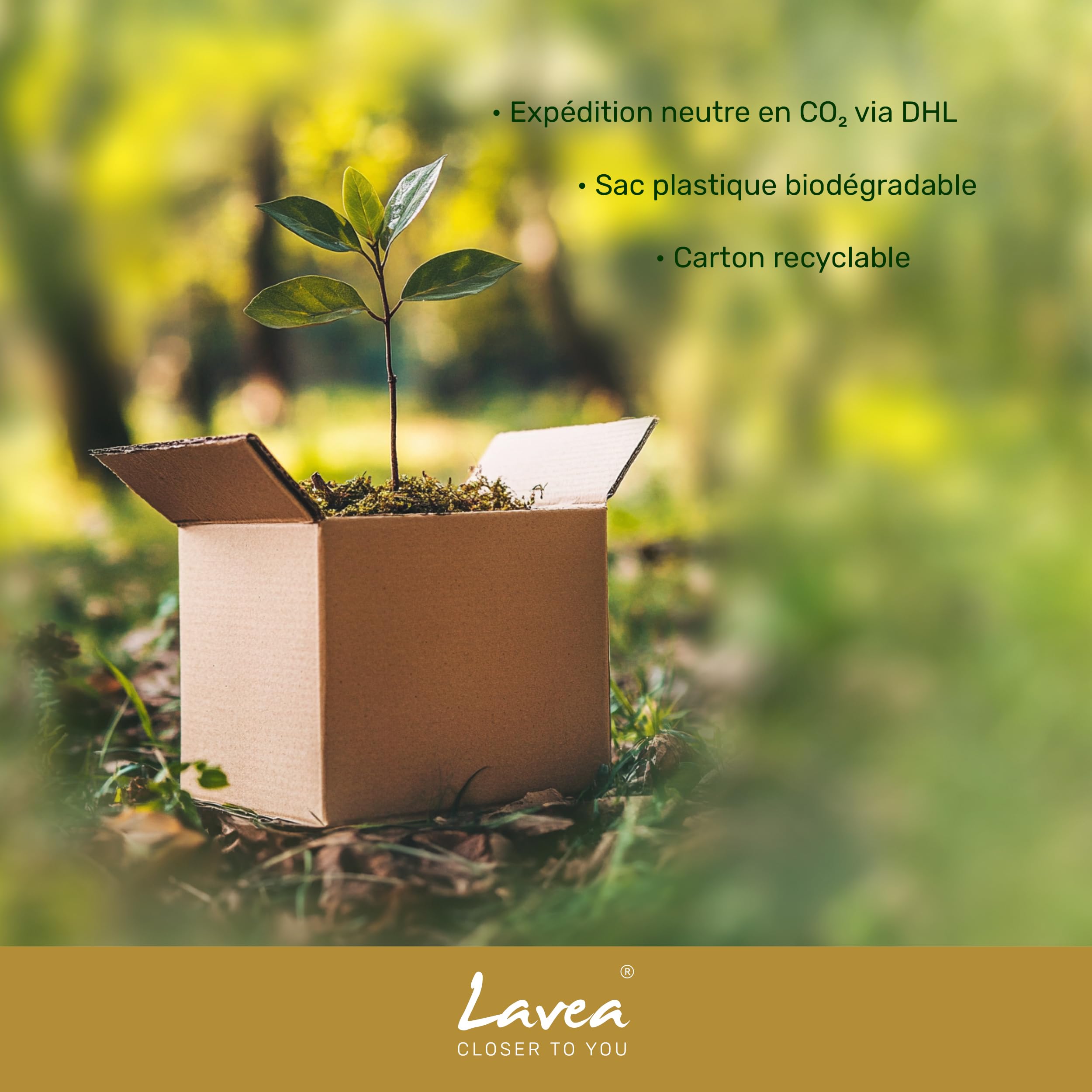 Lavea® Ensemble Sauna Peignoir pour Hommes et Femmes avec Grande Serviette de Douche 80x200 cm – Serviettes en 100% Coton, Douces et Absorbantes, avec Capuche et Ceinture, Oeko-TEX® – Blanc
