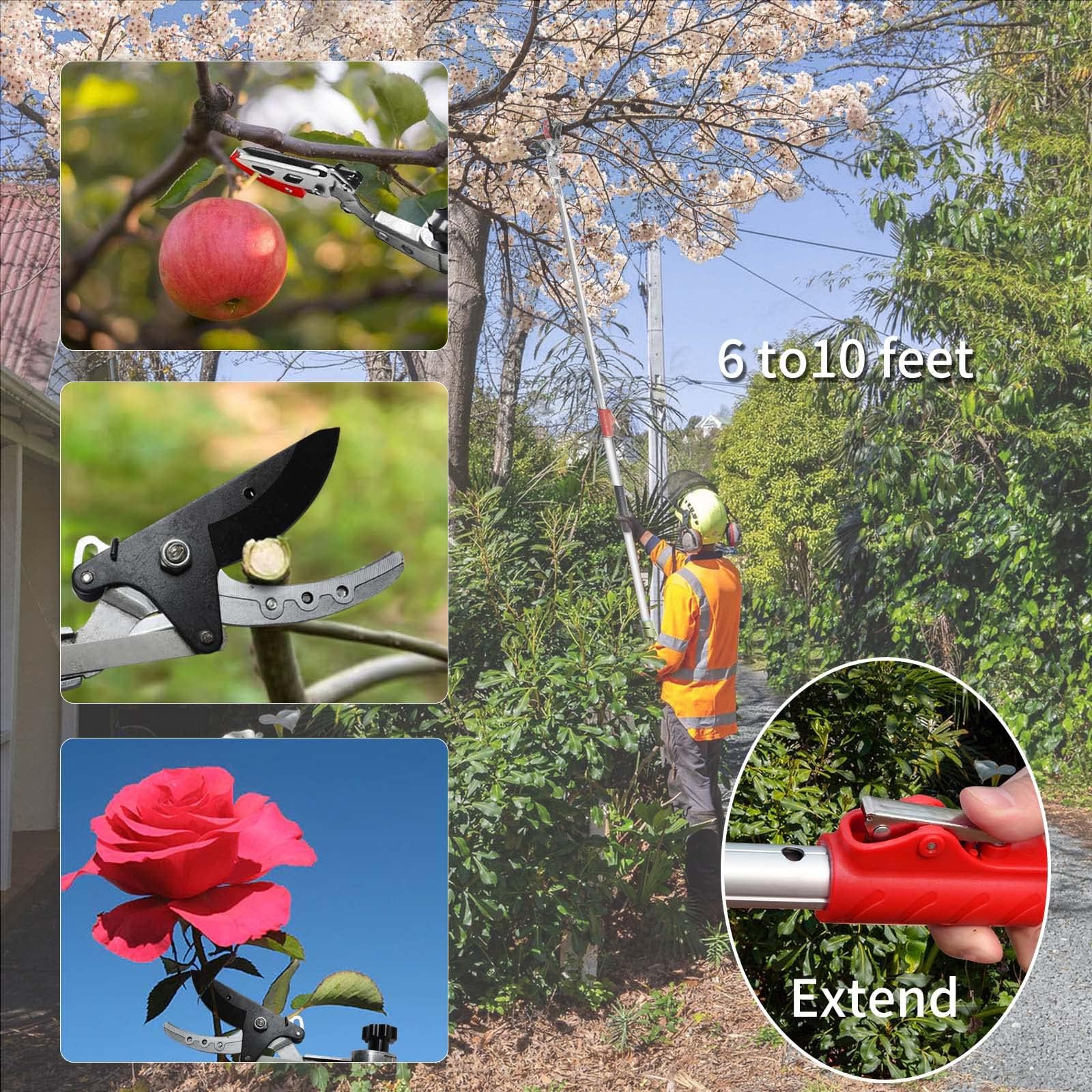 FLORA GUARD Forbici telescopiche 110-166 cm, raccoglifrutta con testa a lama girevole, alluminio