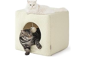 Cozy Serene Hideaway for Indoor Cats: The Lesure Cat Bed