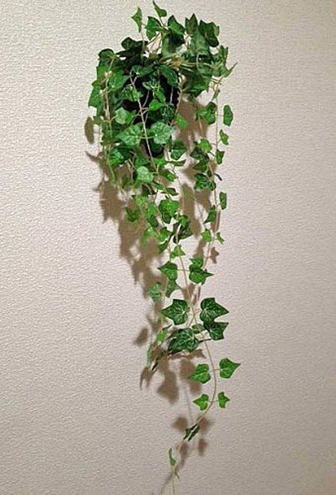 光触媒　観葉植物　ウォールグリーン　フェイクグリーン　壁掛けグレイシアアイビー 光触媒 観葉植物 ウォールグリーン フェイクグリーン 壁掛けグレイシア
