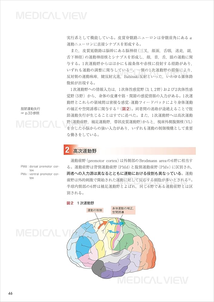 脳神経外科  脳血管障害の急性期マネジメント1 脳血管障害の急性期マネジメント 脳血管障害の急性期マネジメント【電子版】 | 医書.jp