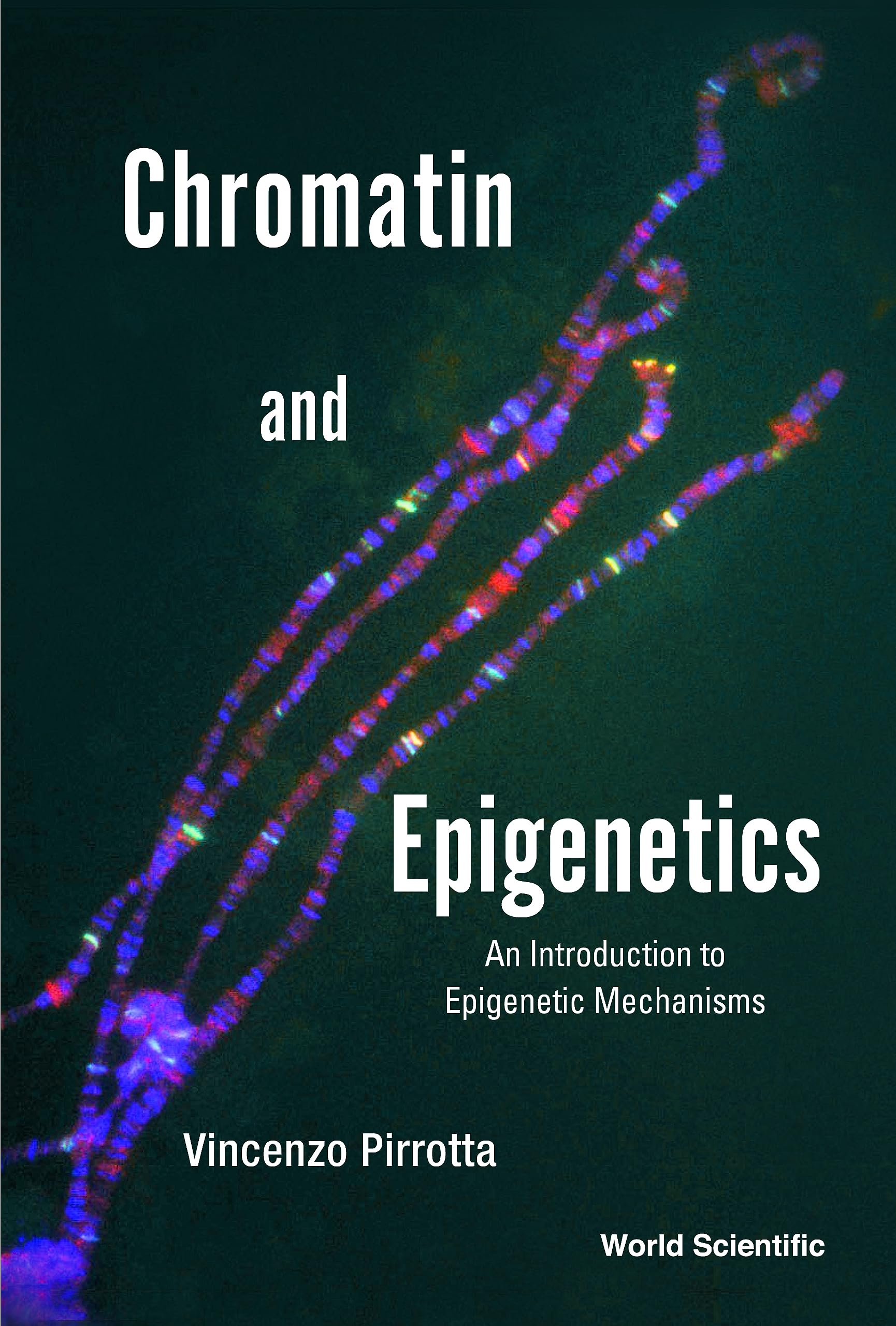 Chromatin and Epigenetics: An Introduction to Epigenetic Mechanisms (English Edition)