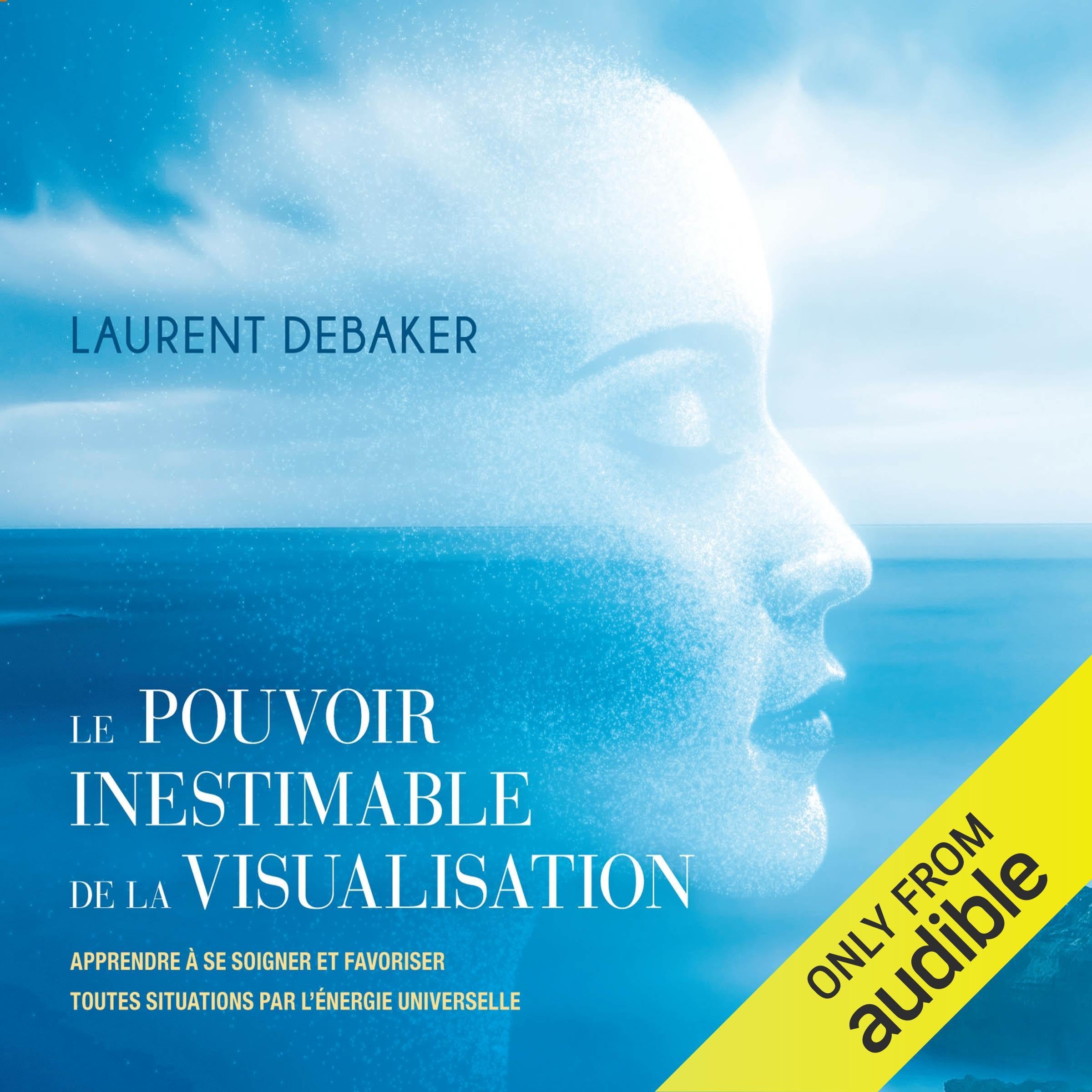 Le pouvoir inestimable de la visualisation