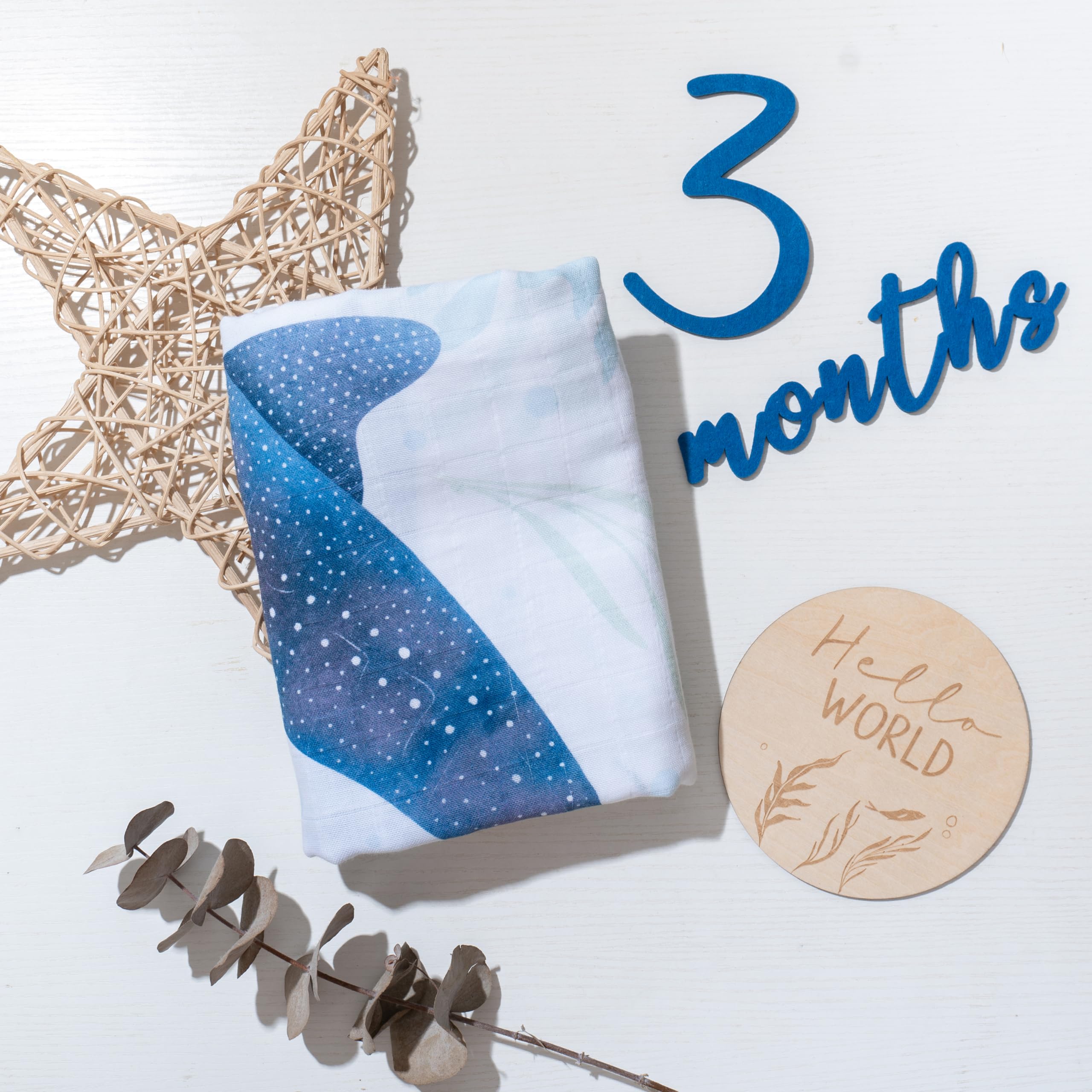 Miaoberry - Manta mensual para bebé con temática oceánica, Accesorios para Fotos de 12 Meses para niños y niñas, Fondo de Fotos de bebé, Accesorios de fotografía para recién Nacidos