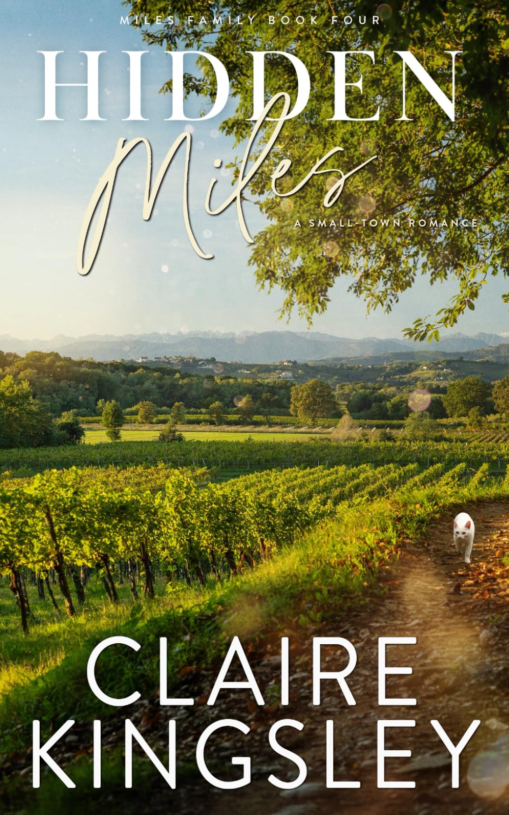 Hidden Miles: A Small-Town Romance: 4 (Miles Family)