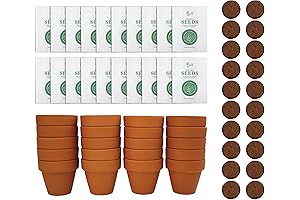 Grow Your Own Plant Kit for Kids: The Ideal Fun and Educational Gift